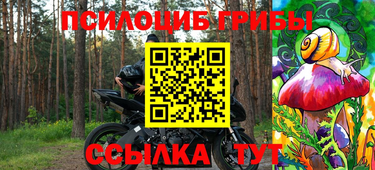 Галлюциногенные грибы прущие грибы Сибай
